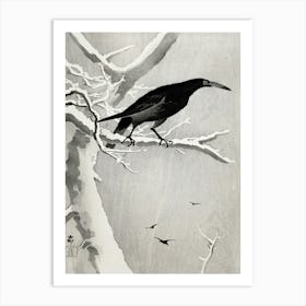 Crow On Snowy Tree Branch (1900 1936), Ohara Koson Art Print