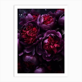 Purple Peonies Art Print