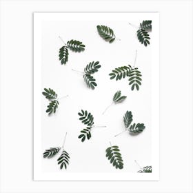 The Beauty Of Mother Nature Art Print