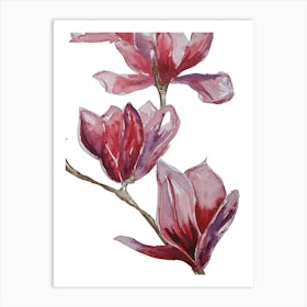 Pink Blossom Flowers Art Print