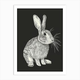 Californian Rabbit Minimalist Illustration 1 Art Print