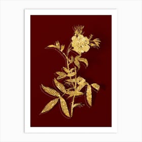 Vintage White Rose of York Botanical in Gold on Red Art Print
