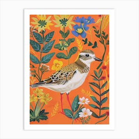 Spring Birds Grey Plover 2 Art Print