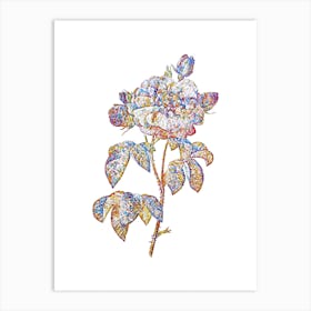 Stained Glass Vintage Duchess of Orleans Rose Mosaic Botanical Illustration on White n.0250 Art Print