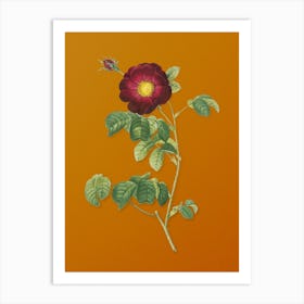 Vintage Rose Botanical on Sunset Orange n.0308 Art Print