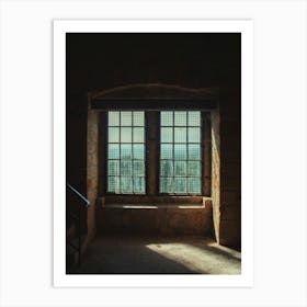 Window to nature Art Print