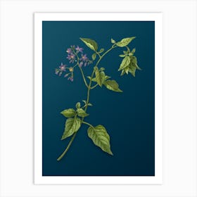 Vintage Bittersweet Botanical Art on Teal Blue Art Print