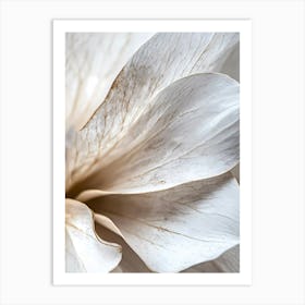 Abstract minimal White Flower Art Print