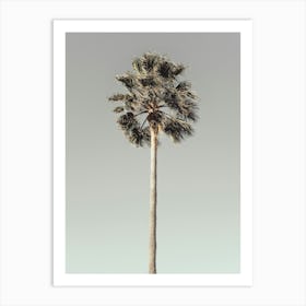 Palm Tree_2191206 Art Print