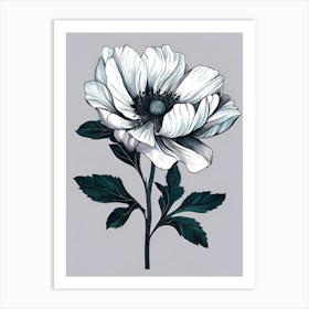 Anemone 2 Art Print