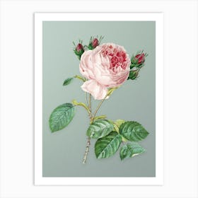 Vintage Centifolia Roses Botanical Art on Mint Green n.0085 Art Print