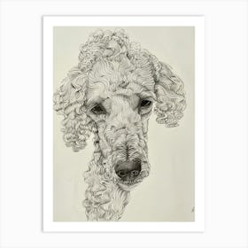 Poodle Dog Wavy Lines 3 Art Print