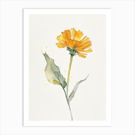 Calendula Leaf Minimalist Watercolour 3 Art Print