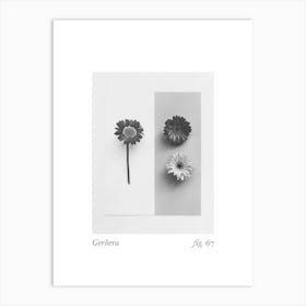 Gerbera Botanical Collage 1 Art Print