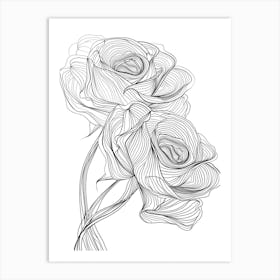 Roses Sketch 5 Art Print