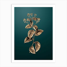 Gold Botanical New Jersey Tea on Dark Teal n.0014 Art Print