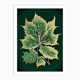 Siberian Ginseng Leaf Vintage Botanical 2 Art Print