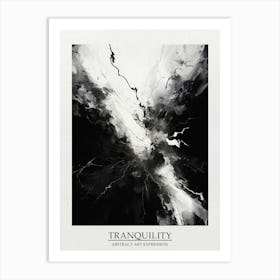 Tranquility Abstract Black And White 1 Poster Art Print