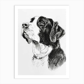 Greater Swiss Mountain Dog Line Sketch 4 Art Print