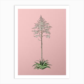 Vintage Giant Cabuya Botanical on Soft Pink n.0054 Art Print