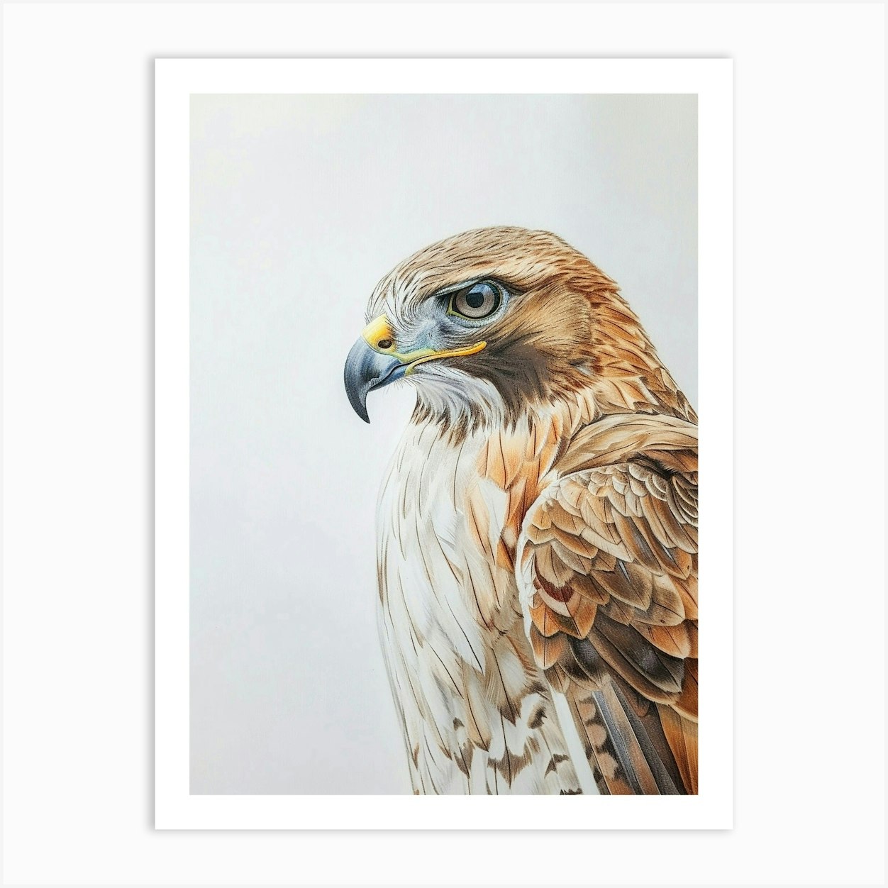 Hawk Pastel Watercolour 3 Poster