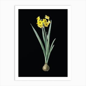 Vintage Daffodil Botanical Illustration on Solid Black n.0461 Art Print
