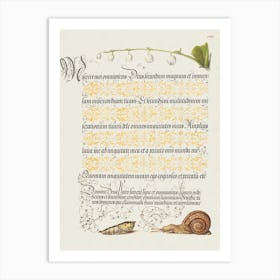 Lily Of The Valley, Pupa, And Land Snail From Mira Calligraphiae Monumenta, Joris Hoefnagel Art Print