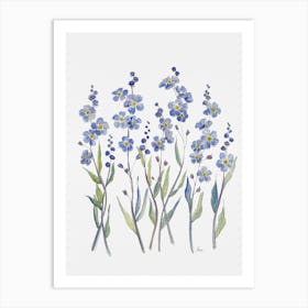 Forget Me Not Flowers Art Print