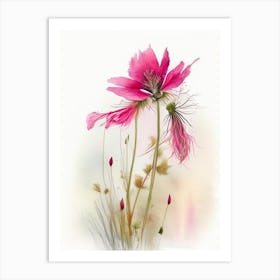 Prairie Smoke Wildflower Watercolour Art Print