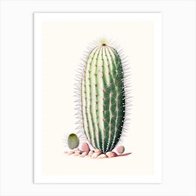 Melocactus Cactus Marker Art 3 Art Print