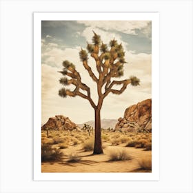 Photograph Of A Joshua Tree In Rocky Mountains 2 Art Print