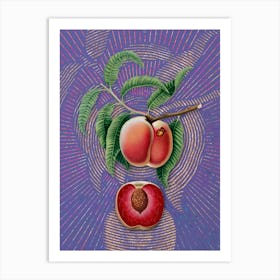 Vintage Carrot Peach Botanical Illustration on Veri Peri n.0334 Art Print
