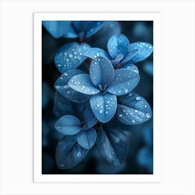 Blue Leaves With Water Droplets Art Print