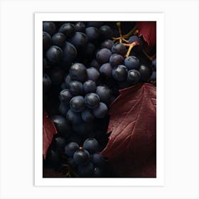 Black Grapes With Red Leaves Art Print