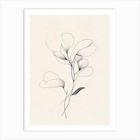 Black And White Flower Drawing Art Print