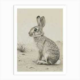 Rhinelander Rabbit Drawing 2 Art Print