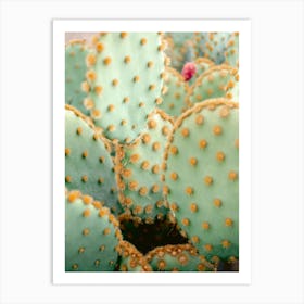 Orange And Green Marrakech Botanical Photography Art Print