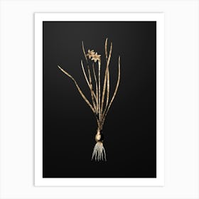 Gold Botanical Rush Leaf Jonquil on Wrought Iron Black n.0749 Art Print