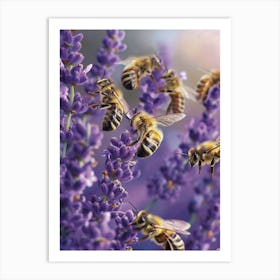 Colletidae Bee Realism Illustration 14 Art Print