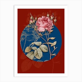 Vintage Botanical Pink Cumberland Rose on Circle Blue on Red n.0138 Art Print