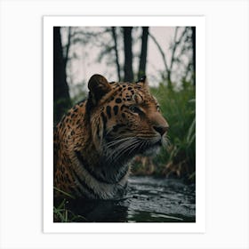 Leopard In The Water Art Print