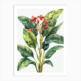 Tropical Plant Canvas Print Art Print