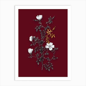 Vintage Hedge Rose Black and White Gold Leaf Floral Art on Burgundy Red Art Print