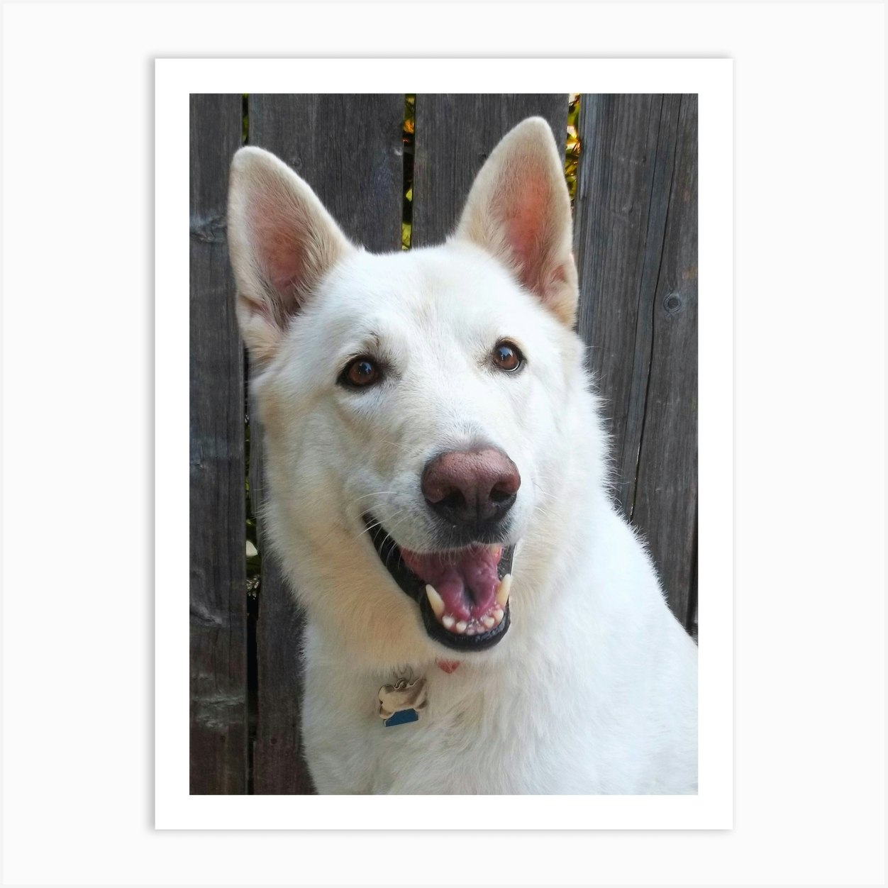 White Swiss Shepherd Phone Case Wallet White Swiss Shepherd Phone Case Wallet