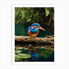 Malachite Kingfisher Perching Art Print