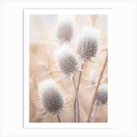 Thistle 3 Art Print