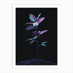 Plant In The Dark 37 Art Print