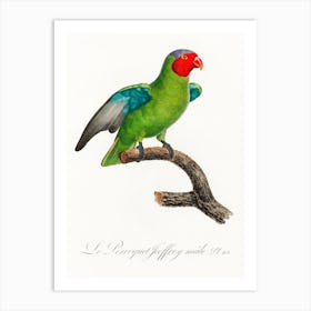 The Red Cheeked Parrot, Male, From Natural History Of Parrots, Francois Levaillant Art Print