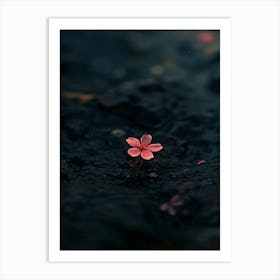 Flower In Water 2 Art Print