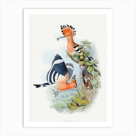 Vintage Bird Art Print Art Print